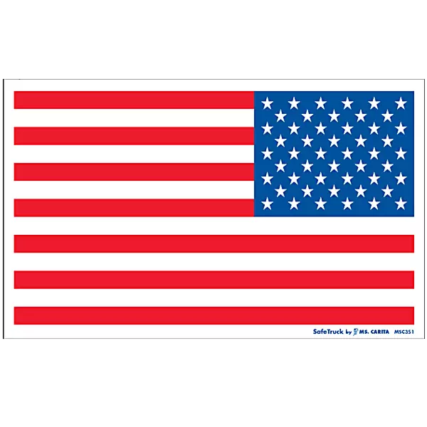 Left US Flags - 10 Inch x 17 Inch Flag